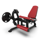 True PLS–1200 Leg Extension