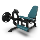 True PLS–1200 Leg Extension