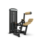 True FUSE-1300 Lower Back Extension