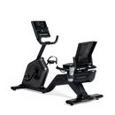 290 Recumbent Bike
