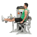 HOIST RS-2402 LEG CURL