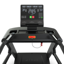 TRUE Palisade Climber