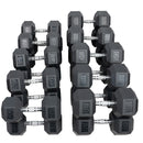Hoist 55-100 Pair DB 5lbs Increments (set)