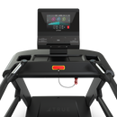 TRUE Palisade Climber