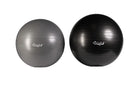 Hoist ACC-1114 Stability Balls
