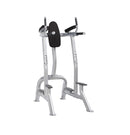 HOIST CF-3252-A VERTICAL KNEE RAISE / DIP