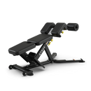 True FS-22 Low Back/Abdominal Bench