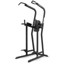 True FS-23 Knee Raise/Dip/Chin Station