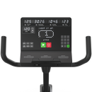 TRUE Launch Recumbent Bike