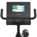 TRUE Performance Series Recumbent Bike