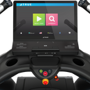 TRUE Alpine Runner Incline Trainer