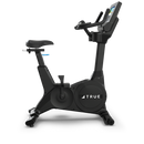 TRUE Performance Series Upright Bike