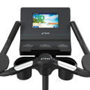 TRUE Performance Series Upright Bike