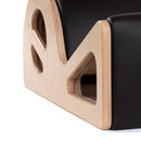 Premier Spine Corrector