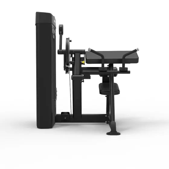 Spirit CSD-BCTE Commercial Biceps/Triceps